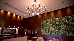 Hotel and restaurant lighting designer